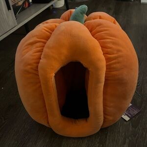 pumpkin cat bed